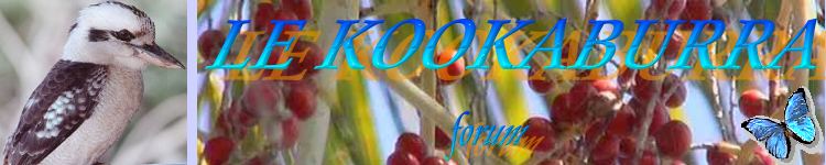 LE KOOKABURRA